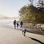Spring Happenings - Pacific Sands, Tofino BC